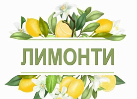 Клининговые услуги "ЛИМОНТИ"