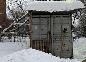 Сдам в аренду контейнеры