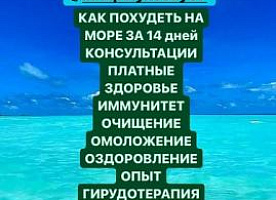 Диета программа похудения консультация диетолог здоровье иммунитет гирудоте